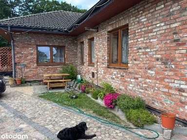 Siedlisko z potencjałem - tylko 1,5 km od morza dom+4 domki