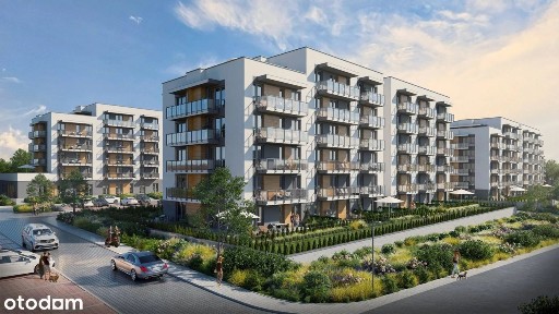 Promocja na Black Friday!