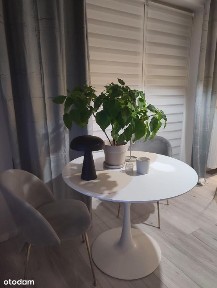 Ząbki, wołomiński, mazowieckie