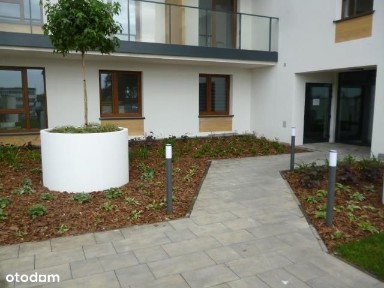 Do wynajęcia mieszkanie w Mławie