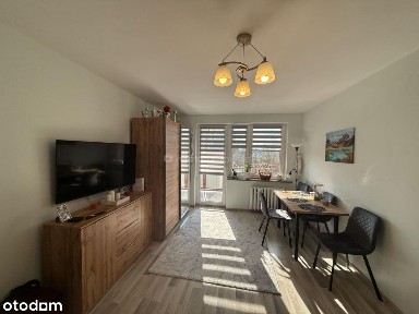 Na sprzedaż, Zygmunta Starego, Kawalerka