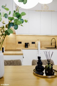 2-pokojowe mieszkanie PREMIUM | Leśny Dwór | widok na las