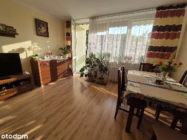 2 pokoje 2 piętro 48m2 niski czynsz ul.Wróblewskiego do wprowadzenia