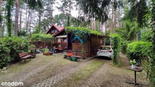 Zadbana nieruchomość rekreacyjna blisko Narwi