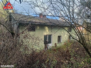 Dom do remontu na dużej działce