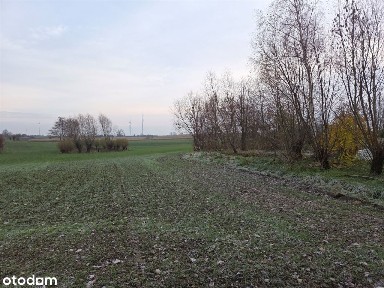 Dom na sprzedaż, Płużnica, 3 pokoje