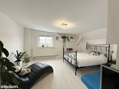 Strzegom, świdnicki, dolnośląskie