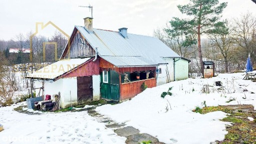 Urokliwy domek z dużą działką w sercu Świebodnej