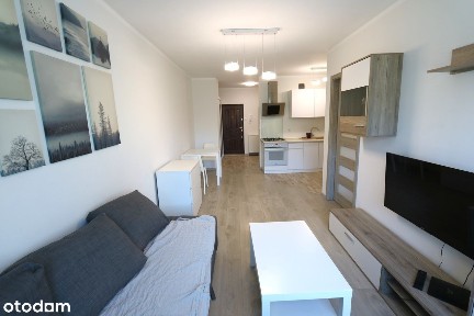 ul. Potulicka, Nowe Miasto, Śródmieście, Szczecin, zachodniopomorskie