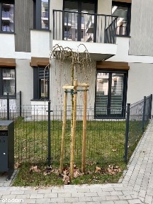 Junikowo, Grunwald, Poznań, wielkopolskie