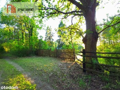 Magiczne siedlisko otulone lasem Borów Tucholskich