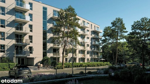 ul. Bieszczadzka, Wielki Kack, Gdynia, pomorskie