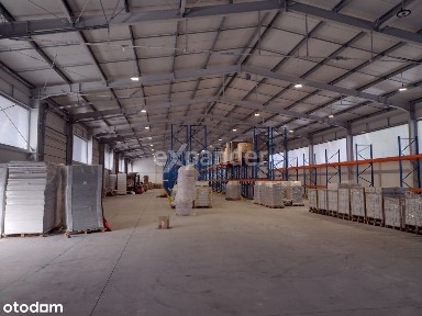 Przeworsk, przeworski, podkarpackie