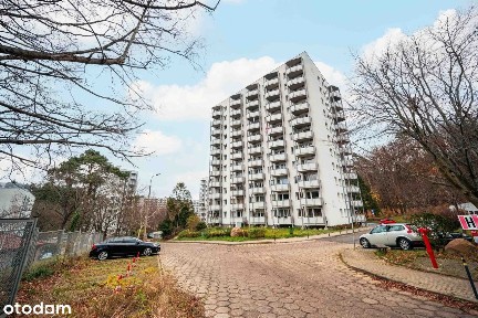 ul. 23 Marca, Przylesie, Sopot, pomorskie