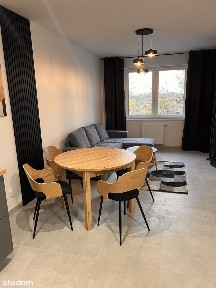 Nowe Wynajmę komfortowe mieszkanie ul.Hallera, z miejscem postojowym