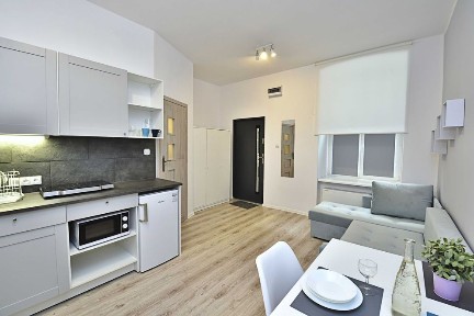 Manufaktura. Piotrkowska, Łódź Fabryczna studio 21 m2 po remoncie