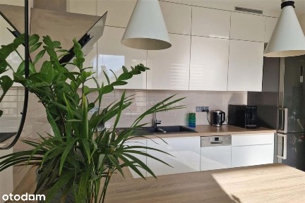 ul. Ptasia, Politechniczna, Polesie, Łódź, łódzkie