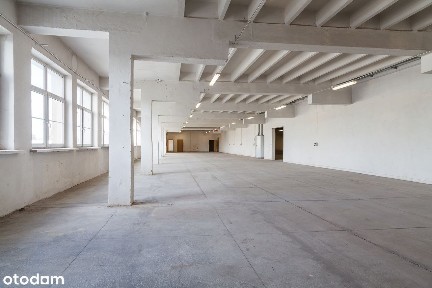 Do wynajęcia hala z oknami 250 m2 Pabianice w budynku Castroramy