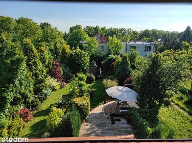 Dom szeregowy z pięknym ogrodem przy placu Grunwaldzkim