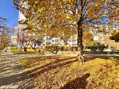 Kawalerka przy ulicy Gwiaździstej w Gorzowie.