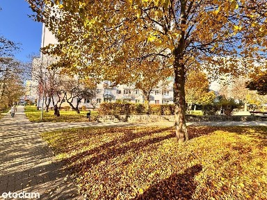 ul. Gwiaździsta, Słoneczne, Gorzów Wielkopolski, lubuskie