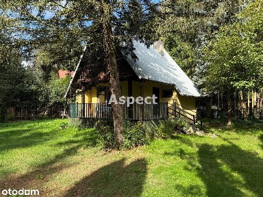 Domek letniskowy nad rzeką Narew