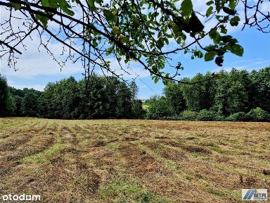 Dom na 93a w Łapczycy koło Bochni
