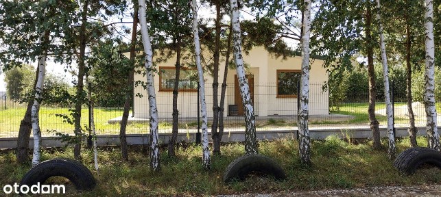 Nowoczesny dom parterowy w stanie deweloperskim, las, Jeziorsko