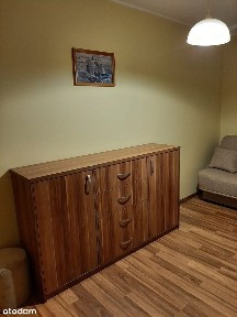 Słoneczne i duże mieszkanie na wynajem w atrakcyjnej lokalizacji