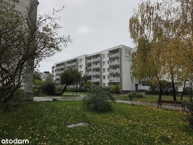 Funkcjonalne mieszkanie o pow. 49,9 m² na Piątkowie (+loggia, piwnica)