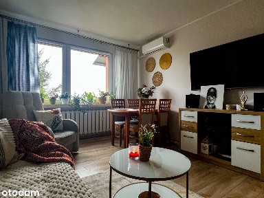 Zadbane, słoneczne mieszkanie do wprowadzenia. Bezpośrednio!