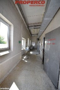 Hala 1000 m2, Piekoszów