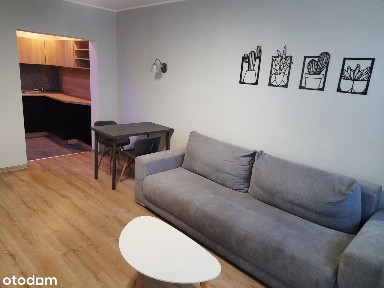 Klimzowiec, Centrum, Chorzów, śląskie