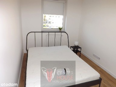 Mieszkanie do wynajecia