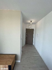 Mieszkanie 2 pokoje + kuchnia - ul. Dionizosa