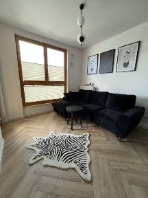 Do wynajęcia nowoczesne mieszkanie (2 pokoje) - Goleszowska, Wola