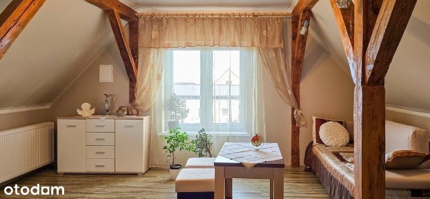 Dom w otoczeniu przyrody, Borki- działka 8497 m2