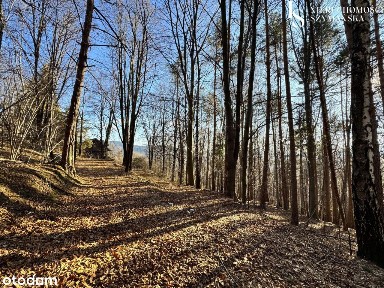 Urokliwy dom z bali z widokiem na Tatry