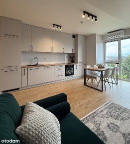 Niepołomice, wielicki, małopolskie