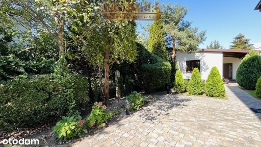 Wynajmę na cele mieszkalne Piastów 60m2