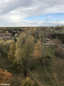 Natolin, Ursynów, Warszawa, mazowieckie
