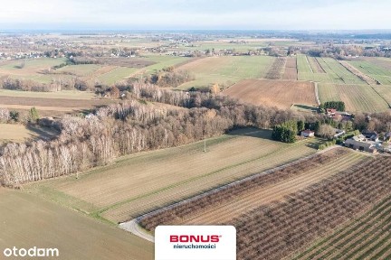 Siedlisko przy Nałęczowie 4,5 ha.