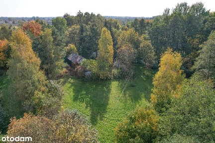 Drewniany dom na działce 3620 m otoczony zielenią