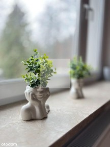 Wyjątkowe bezczynszowe mieszkanie