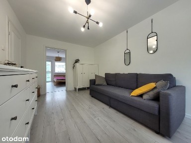 Koziny, Polesie, Łódź, łódzkie