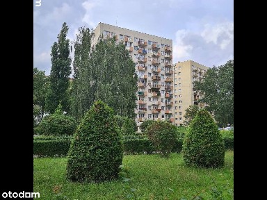 ul. Rozewska, Chylonia, Gdynia, pomorskie