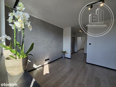 Mieszkanie trzy pokojowe w centrum miasta