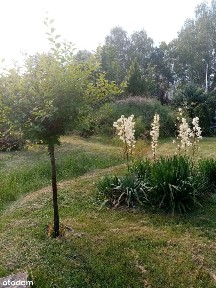 Dom w Książenicach -Grodzisk Mazowiecki.