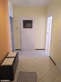 Mieszkanie w bloku przy lesie