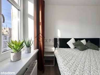 Śródmieście kamienica po remoncie 3 pokoje rozkład